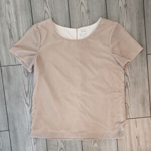 J Crew Velour Top